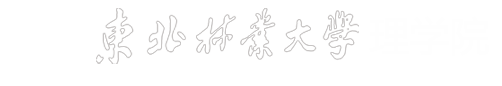 bevictor伟德